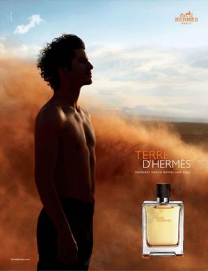 Оригінал Hermes Terre d'hermes edt 100ml Гермес Терре де Гермес (багатий, мужній, статусний аромат)