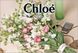 Chloe Eau de Fleurs Capucine (освежающий, нежный, женственный аромат)
