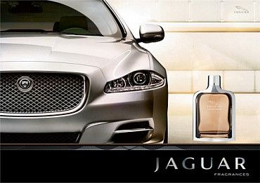 Оригинал Jaguar Classic Amber 100ml edt Мужская Туалетная Вода Ягуар Классик Амбер