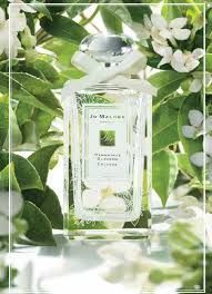 Пробник Jo Malone Osmanthus Blossom Limited Edition 10ml Джо Малон Османтус Блоссом / Квітка Османтуса Розпив/ Відливант