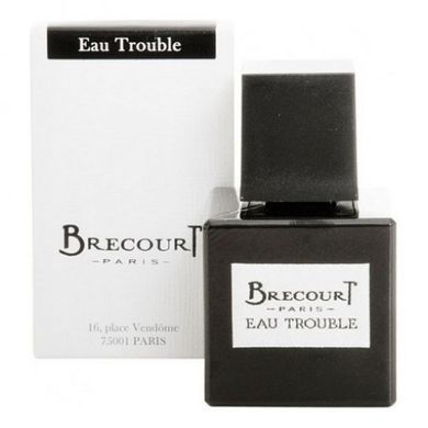 Оригинал Brecourt Eau Trouble 100ml Женская Парфюмированная Вода Брекоурт Мутная Вода