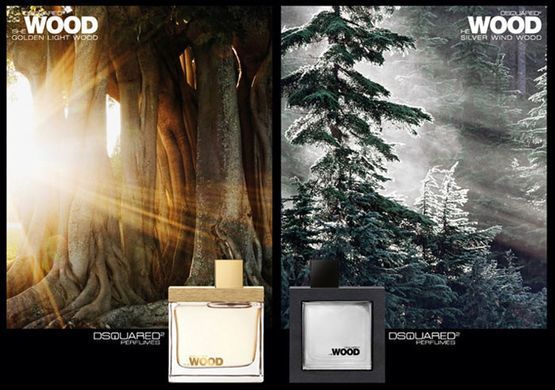 Dsquared2 He Wood Silver Wind Wood edt 100ml Дискваред2 Хі Вуд Сільвер Вінд Вуд
