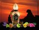 Оригінал Arabesque Perfumes Safari 50ml Парфуми Унісекс Арабеска Парфумерія Сафарі