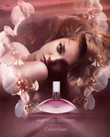 Ck euphoria on sale blossom 100ml