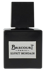 Оригинал Brecourt Esprit Mondain 50ml Мужская Парфюмированная Вода Брекоурт Мирской Дух