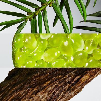 Оригінал Lacoste Eau de Lacoste L.12.12 Blanc Eau de Parfume 100ml Парфумована Вода Лакоста Бланк Л 12 12