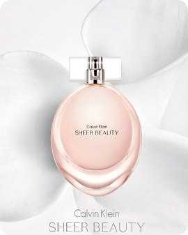 Ck sheer on sale beauty perfume