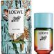 Оригінал Loewe Paula's Ibiza 50ml Жіночі Парфуми Лоєв Паула Ібіца