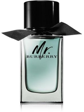 Burberry Mr. Burberry 100ml Тестер Парфюмированная вода Мужская Барбери Мистер Барберри