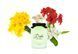 Пробник Dolce Floral Drops Dolce Gabbana 5ml (женственный, нежный, жизнерадостный аромат) Распив/ Отливант