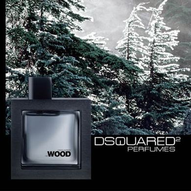 Dsquared2 He Wood Silver Wind Wood edt 100ml (впевнений, мужній, спокусливий) ліц