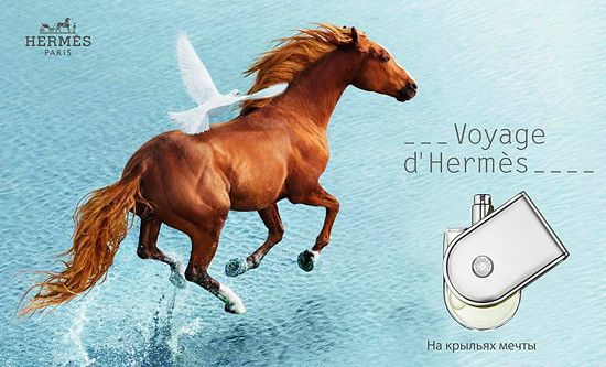 Hermes Voyage dHermes edt 100ml (Сяючий шедевральний парфум унісекс буде ідеальним ароматом навесні і влітку)