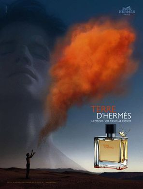 Terre d'hermes Hermes edt 100ml (Благородний і розкішний парфум ідеально впишеться в будь-яку життєву ситуацію)