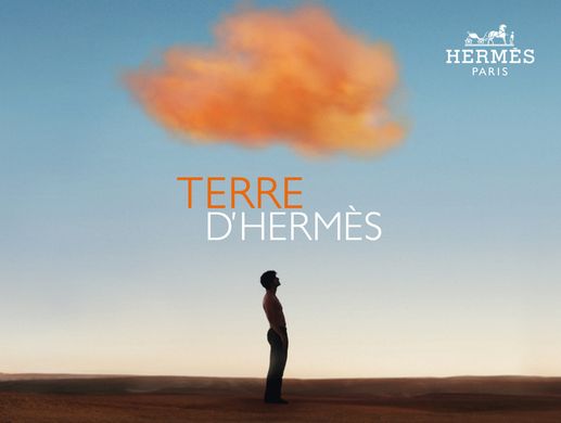Terre D'Hermes Hermes 100ml edt (Благородный и роскошный парфюм идеально впишется в любую жизненную ситуацию)