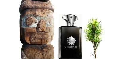 Чоловічий парфум Amouage Мемуари Man (мужній, надає рішучість і впевненість аромат)