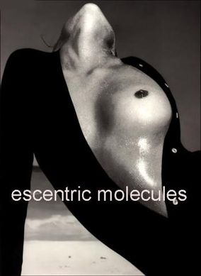 Escentric 01 Escentric Molecules edt 100ml (витончений,чуттєвий,хвилюючий)