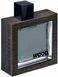 Dsquared2 He Wood Silver Wind Wood 100ml edt Дискваред2 Хи Вуд Сильвер Винд Вуд лиц