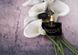 Жіночі парфуми Bvlgari Jasmin Noir 100ml (розкішний, сексуальний, дорогоцінний аромат)