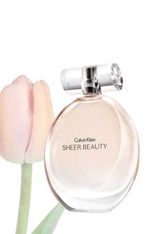 Ck on sale sheer beauty