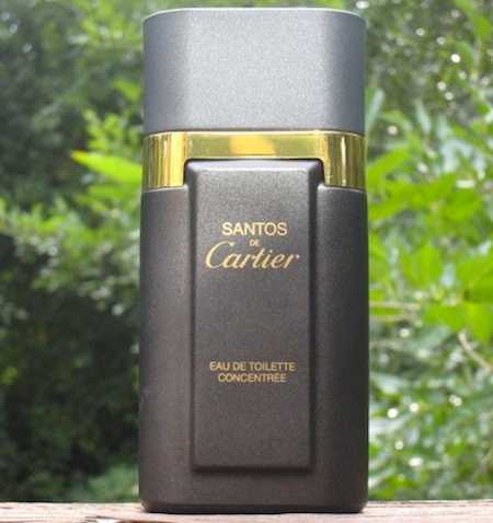 Cartier Santos de Cartier for Men edt 100ml