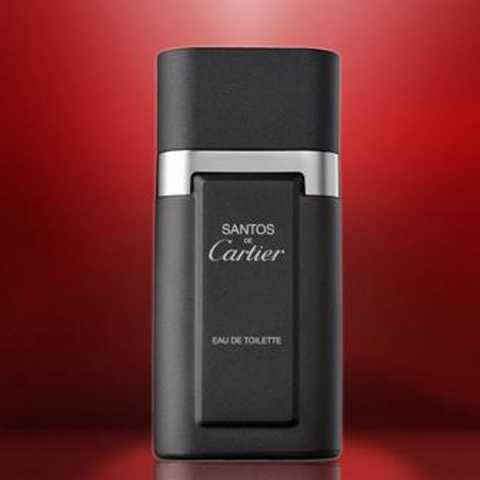 Cartier Santos de Cartier for Men 100ml edt