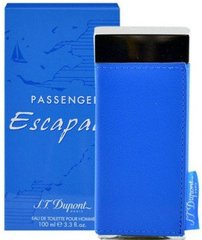 Оригинал Dupont Passenger Escapade Men 100ml edt Дюпон Пассенджер Эскапад Мужская Туалетная Вода