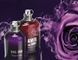 Пробник Cacharel Amor Amor Tentation 10ml (Розкішні і спокусливі парфуми подарують вам романтичність і загадку)