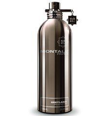 Оригінал Montale Greyland 100ml edp Монталь Грейленд